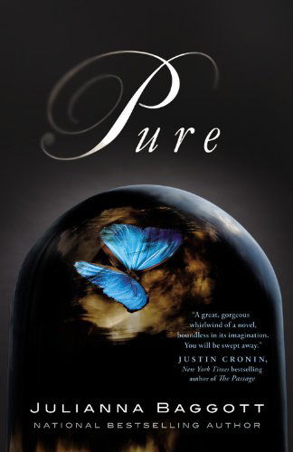 Cover for Julianna Baggott · Pure (The Pure Trilogy) (Paperback Book) [Reprint edition] (2012)