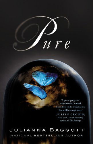 Pure (The Pure Trilogy) - Julianna Baggott - Books - Grand Central Publishing - 9781455503056 - September 4, 2012