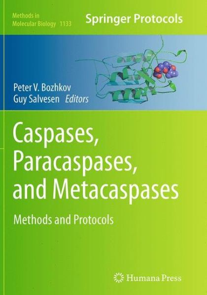 Caspases,Paracaspases, and Metacaspases: Methods and Protocols - Methods in Molecular Biology - - Kirjat - Humana Press Inc. - 9781493954056 - tiistai 23. elokuuta 2016