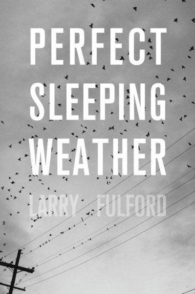 Cover for Larry Fulford · Perfect Sleeping Weather (Paperback Book) (2015)