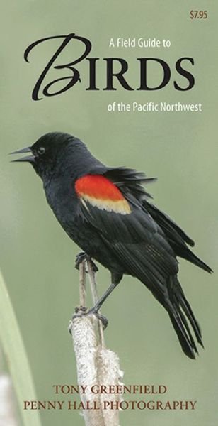 Cover for Tony Greenfield · A Field Guide to Birds of the Pacific Northwest (Pamphlet) [Pmplt edition] (2013)