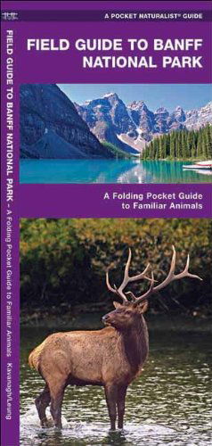 Cover for James Kavanagh · Banff National Park, Field Guide To: a Folding Pocket Guide to Familiar Species (Pocket Naturalist Guide Series) (Pamphlet) [Fol Lam Ch edition] (2018)