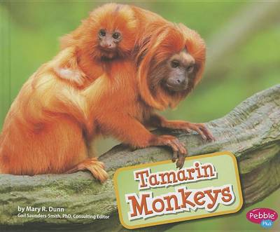 Cover for Mary R. Dunn · Tamarin Monkeys (Hardcover Book) (2013)