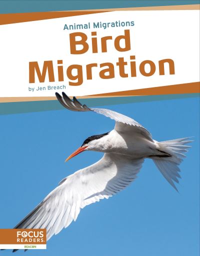 Cover for Jen Breach · Bird Migration (Book) (2023)