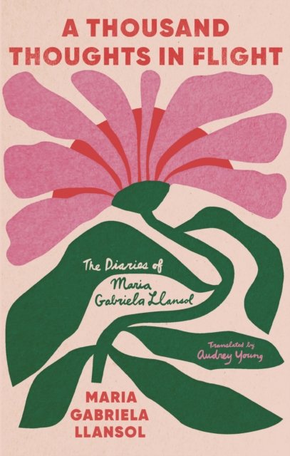 Cover for Maria Gabriela Llansol · Diaries (Paperback Book) (2024)