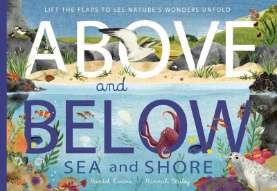 Cover for Harriet Evans · Above and Below: Sea and Shore: Lift the flaps to see nature's wonders unfold - Above and Below (Pocketbok) (2023)