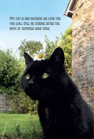 My Sad Cat Notebook - Tom Cox - Libros - Graffeg Limited - 9781910862056 - 31 de octubre de 2016