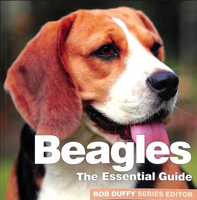 Cover for Rob Duffy · Beagles - Need2know Essential Guides (Paperback Book) (2020)