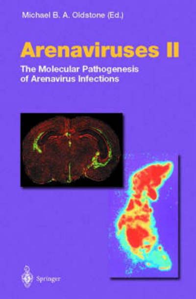 Cover for M. B. A. Olstone · Arenaviruses II (Hardcover Book) (2002)