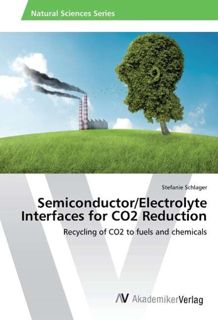 Cover for Schlager · Semiconductor / Electrolyte Inte (Bok)