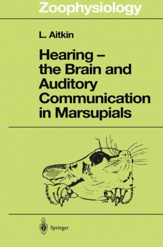 Cover for Lindsay Aitkin · Hearing - the Brain and Auditory Communication in Marsupials - Zoophysiology (Paperback Book) [Softcover reprint of the original 1st ed. 1998 edition] (2012)