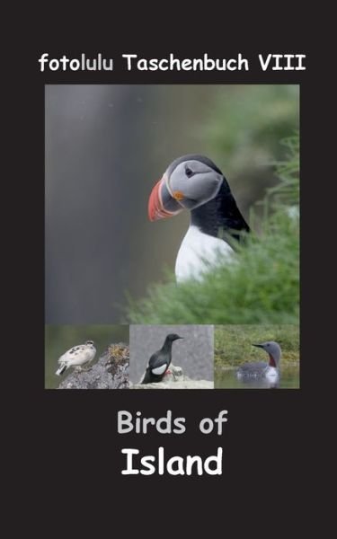 Cover for Fotolulu · Birds of Island (Book) (2017)