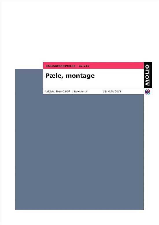 Basisbeskrivelse - pæle, montage B2.215 -  - Boeken - Molio - 9788772939056 - 7 maart 2018