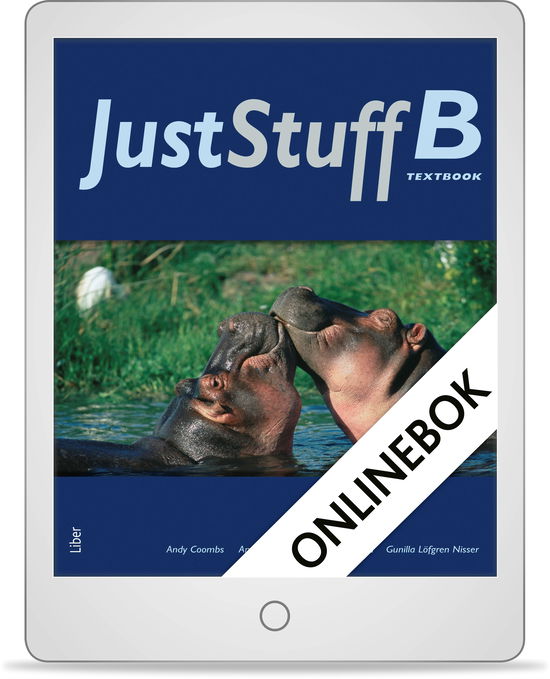 Cover for Sarah Schofield · Just Stuff: Just Stuff B Textbook Onlinebok Grupplicens 12 mån (e-book) (2012)