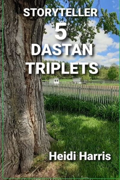 Cover for Heidi Harris · Dastan Triplets - Storyteller (Pocketbok) (2021)