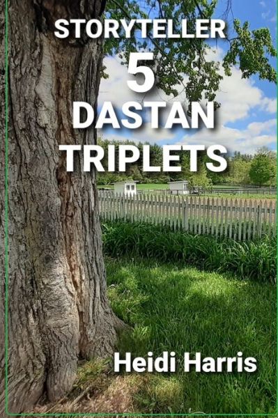 Dastan Triplets - Storyteller - Heidi Harris - Books - Independently Published - 9798522522056 - June 17, 2021