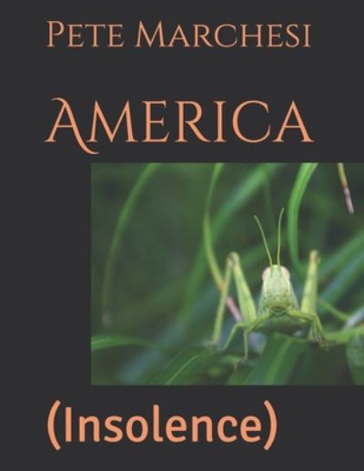 Cover for Pete Marchesi · America: (Insolence) (Paperback Book) (2020)