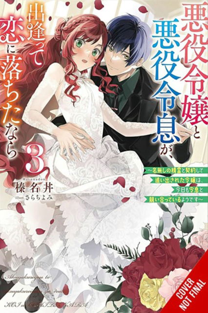 If the Villainess and Villain Met and Fell in Love, Vol. 3 (light novel) - If the Villainess and Villain Met and Fe - Harunadon - Books - Yen Press - 9798855402056 - January 21, 2025