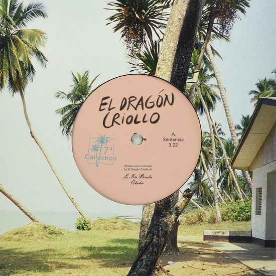 Sentencia / El Numero 1 - El Dragon Criollo - Music - EL PALMAS - 4040824091057 - December 3, 2021