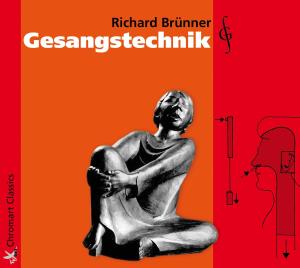 Cover for Brunner / Hamann · Gesangstechnik: Vocal Coaching (CD) (2013)