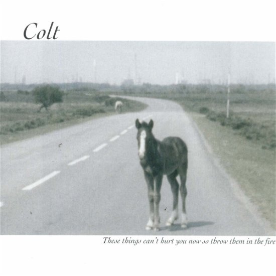 Colt · These Things Can't Hurt (CD) (2005)