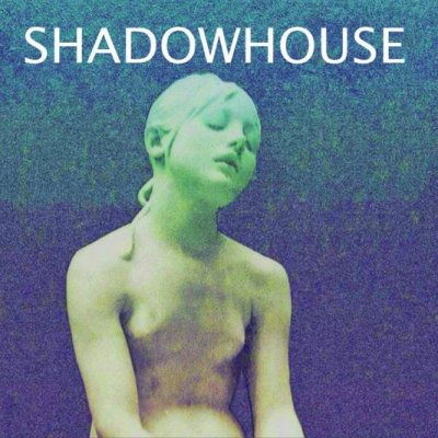 Cover for Shadowhouse · Forsaken (LP) (2022)