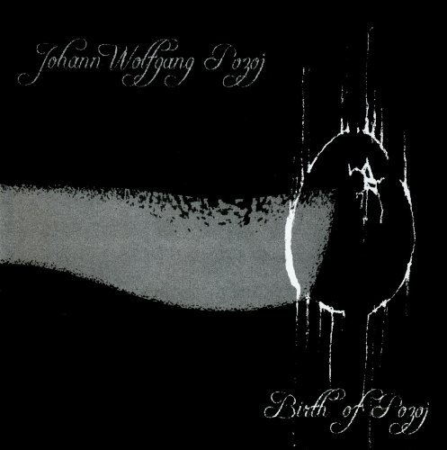 Cover for Johan Wolfgang Pozoj · Birth Of Pozoj (CD) (2011)