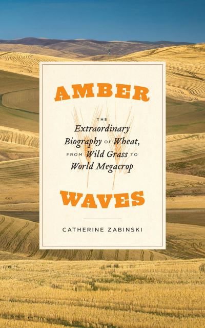 Cover for Catherine Zabinski · Amber Waves: The Extraordinary Biography of Wheat, from Wild Grass to World Megacrop (Paperback Book) (2022)
