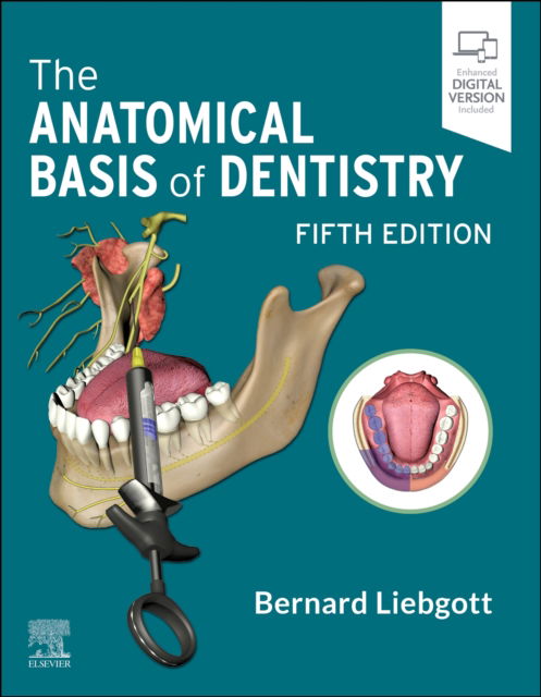 Cover for Liebgott, Bernard (Professor Emeritus, Department of Surgery, Division of Anatomy, Faculty of Medicine, Faculty of Dentistry, University of Toronto, Toronto, Ontario, Canada) · The Anatomical Basis of Dentistry (Paperback Book) (2023)