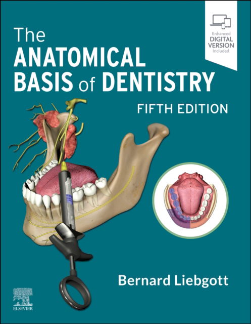 The Anatomical Basis of Dentistry - Liebgott, Bernard (Professor Emeritus, Department of Surgery, Division of Anatomy, Faculty of Medicine, Faculty of Dentistry, University of Toronto, Toronto, Ontario, Canada) - Książki - Elsevier - Health Sciences Division - 9780323824057 - 2 maja 2023