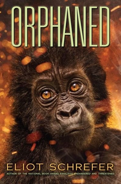 Cover for Eliot Schrefer · Orphaned (Ape Quartet #4) - Ape Quartet (Hardcover Book) (2018)