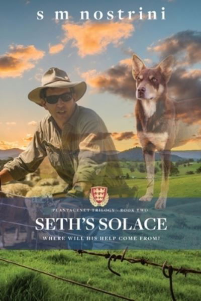 Cover for S M Nostrini · Seth's Solace (Taschenbuch) (2020)