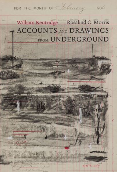 Cover for William Kentridge · Accounts and Drawings from Underground: The East Rand Proprietary Mines Cash Book, 1906 - The Africa List - (Seagull titles CHUP) (Hardcover Book) (2015)