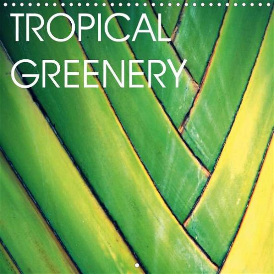 Cover for Baur · Tropical Greenery (Wall Calendar 2 (Book)
