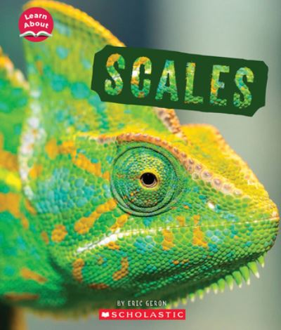 Cover for Eric Geron · Scales (Learn about: Animal Coverings) (Book) (2023)