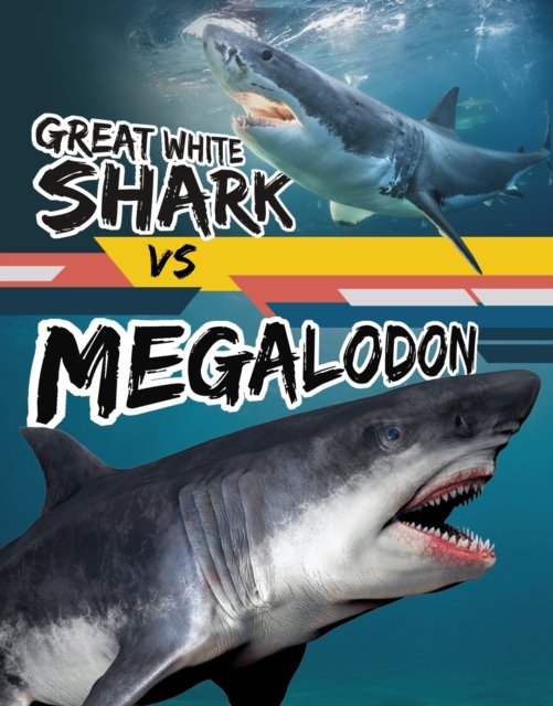 Cover for Charles C. Hofer · Great White Shark vs Megalodon - Beastly Battles (Gebundenes Buch) (2024)