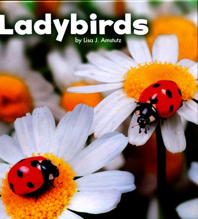 Cover for Lisa J. Amstutz · Ladybirds - Little Critters (Hardcover Book) (2016)