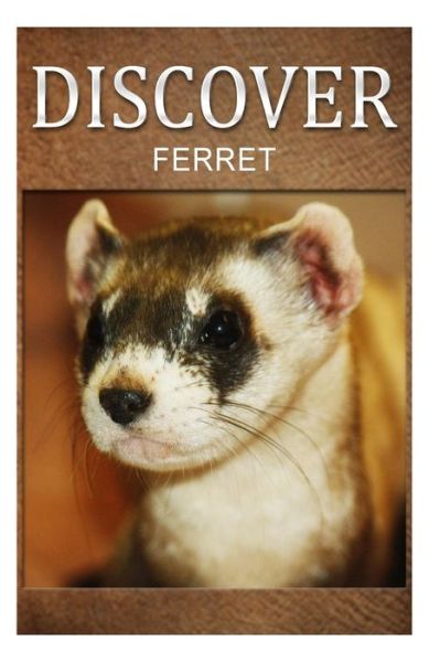 Cover for Discover Press · Ferret - Discover: Early Reader's Wildlife Photography Book (Paperback Book) (2014)