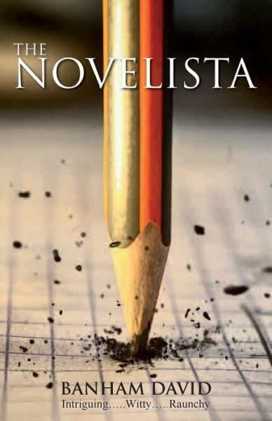 Cover for Banham David · The Novelista (Paperback Book) (2014)