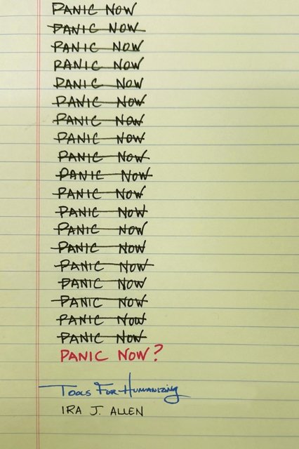 Cover for Ira Allen · Panic Now?: Tools for Humanizing (Taschenbuch) (2024)