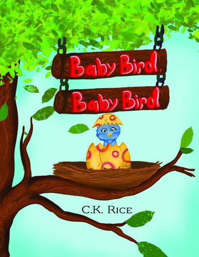 Cover for C K Rice · Baby Bird, Baby Bird (Hardcover Book) (2020)