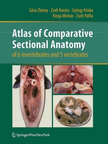 Cover for Geza Zboray · Atlas of Comparative Sectional Anatomy of 6 invertebrates and 5 vertebrates (Taschenbuch) [Softcover reprint of the original 1st ed. 2010 edition] (2016)