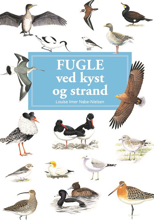 Cover for Louise Imer Nabe-Nielsen · Spiralbogsserien: Fugle ved kyst og strand - display med 10 stk (Spiral Book) [1st edition] (2023)