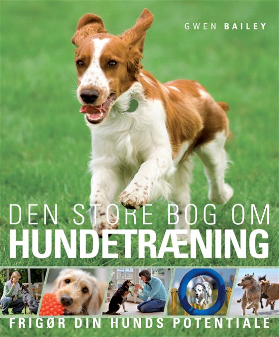 Cover for Gwen Bailey · Den store bog om hundetræning (Paperback Book) [1.º edición] [Paperback] (2012)