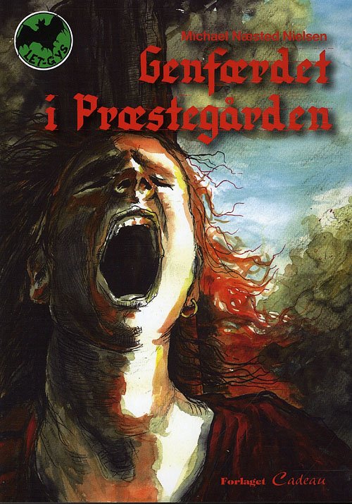 Cover for Michael Næsted Nielsen · Letgys: Genfærdet i præstegården (Sewn Spine Book) [1. Painos] (2009)