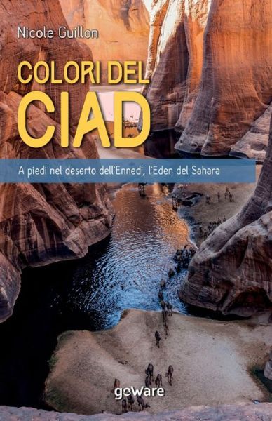 Cover for Nicole Guillon · I Colori del Ciad. A piedi nel deserto dell'Ennedi, l'Eden del Sahara (Paperback Book) (2021)