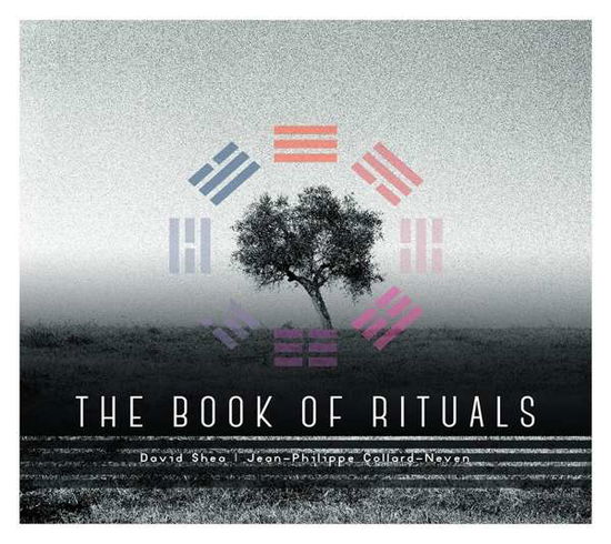 Books of Rituals - David Shea - Music - SOOND - 3663729128058 - May 19, 2023