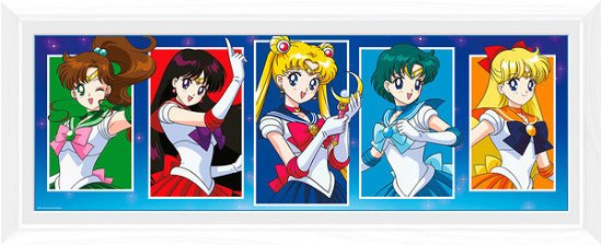 Cover for Sailor Moon · Sailor Moon: Characters (White) (Stampa In Cornice 30x75cm) (CD)
