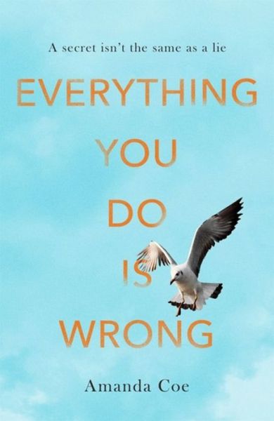 Cover for Amanda Coe · Everything You Do Is Wrong (Hardcover Book) (2017)