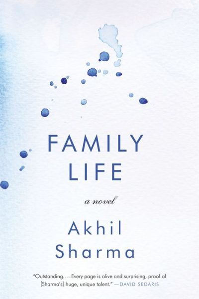 Family Life: A Novel - Akhil Sharma - Books - WW Norton & Co - 9780393060058 - April 29, 2014